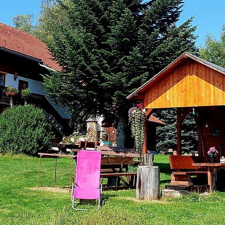 Ubytovani V Sumavskem Dome Nove Hute Zewnętrze zdjęcie