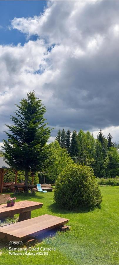 Ubytovani V Sumavskem Dome Nove Hute Zewnętrze zdjęcie